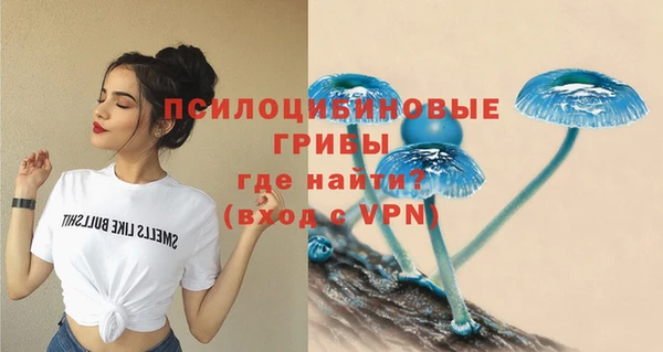мяу мяу кристалл Магас