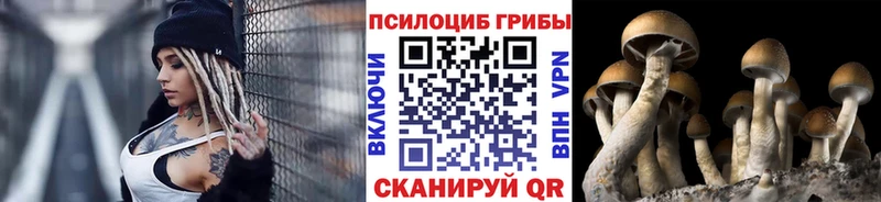 Купить закладки  Усть-Илимск  Псилоцибиновые грибы ЛСД 